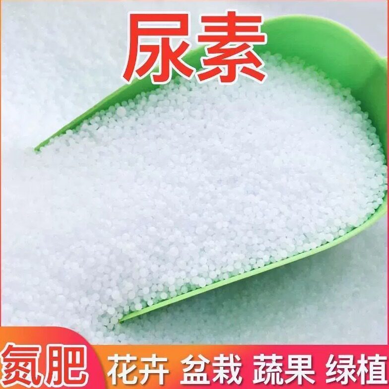 尿素肥料植物蔬菜花卉通用氮肥