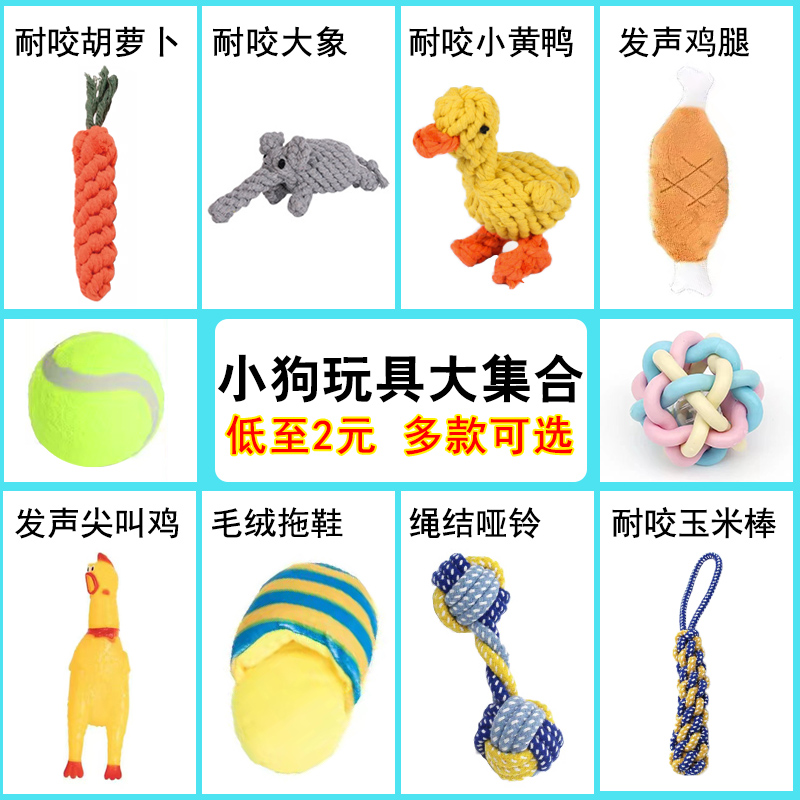 比熊柯基泰迪小型犬宠物用品小狗磨牙棒狗狗玩具耐咬幼犬解闷神器