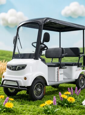 Minibusev新款老年四轮电动车