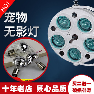 原装口腔手术室无影灯灯泡24v25w医用卡口插扣老式手术灯配件灯罩