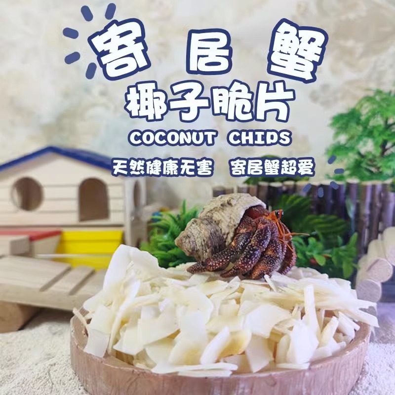 寄居蟹食物饲料脱水冻干高钙无糖天然椰子片爬宠专用鱼干虾干蟹粮