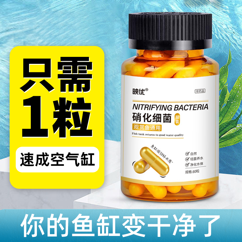 硝化细菌鱼缸用专用胶囊净水剂颗粒活菌干粉水质稳定净化水族鱼用