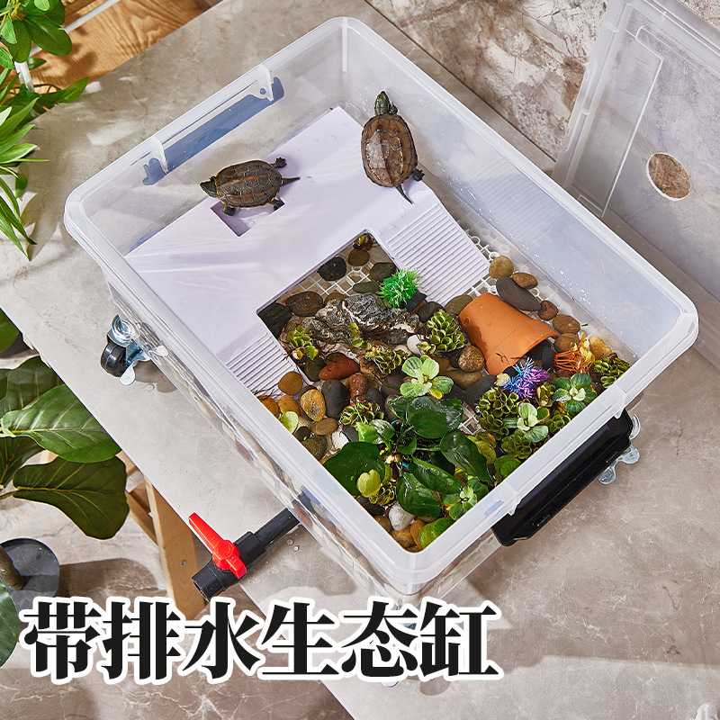 乌龟饲养缸底可排水透明带盖生态草龟专用龟缸家用底滤鱼龟混养缸