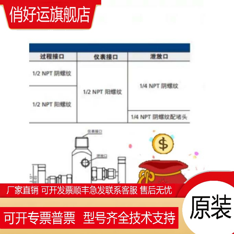 FITOK二阀组2RS4-NS8-FNS8-H 304 不锈钢飞托克2R系列仪表二阀组