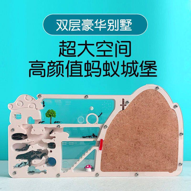 蚂蚁城堡箱小学版箱工坊巢穴饲养王国弓背蚁巢宠物扩展沙巢
