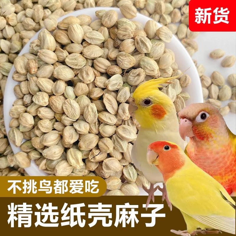 鹦鹉饲料纸壳麻子火麻子鸟粮食玄凤专用小奖励零食纸皮火麻籽颗粒