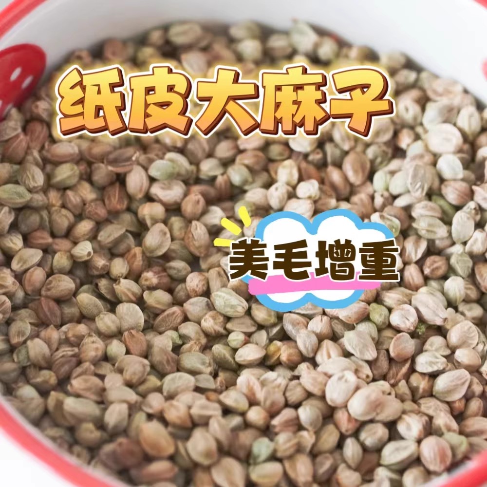 纸壳麻子鹦鹉粮鸟粮饲料小太阳