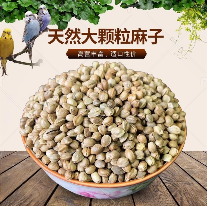 纸壳麻子大颗粒火麻子玄凤牡丹鸟粮食零食奖励训练增肥鹦鹉鸟粮11