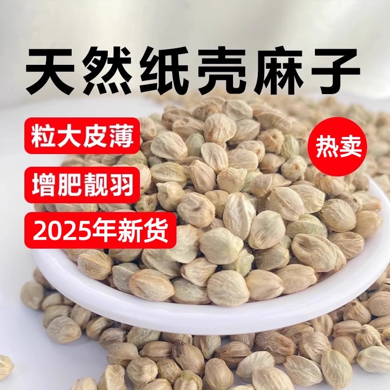 新货大粒纸壳麻子麻籽鹦鹉鸟食饲料鸟粮仓鼠鸽子蜡嘴甘肃纸壳麻籽