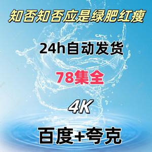 知否知否应是绿肥红瘦全集4K