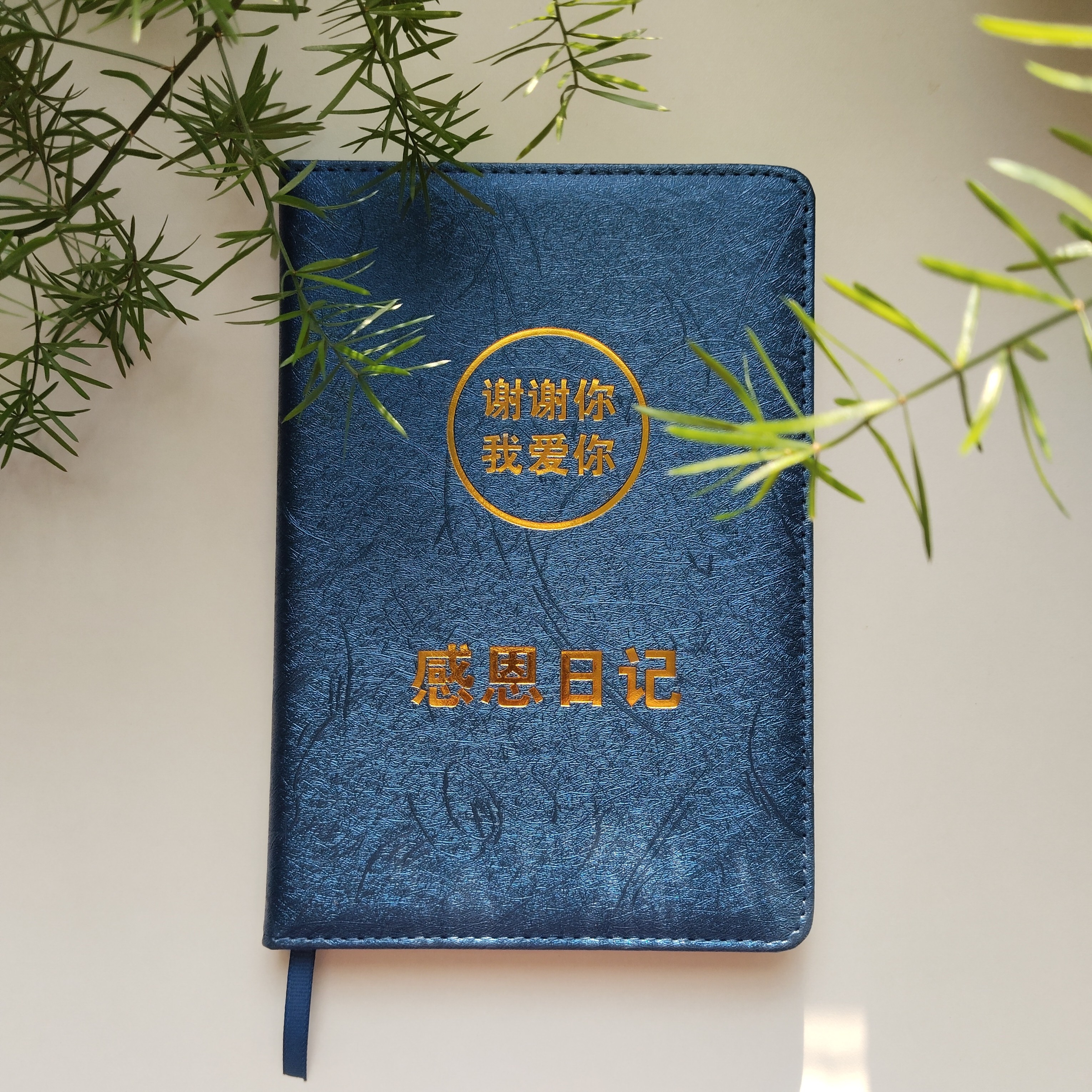 零极限感恩日记本霍金斯能量层级表谢谢你我爱你四句真言贴纸A5