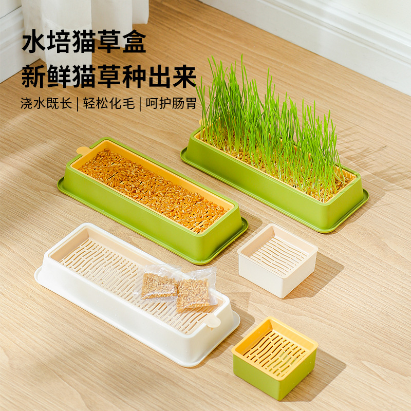 猫草盆栽无土水培育苗盘种植种子