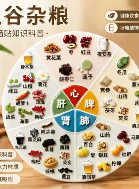五谷杂粮养生冰箱贴五脏对症食疗亚克力磁吸厨房装饰好物加强磁力