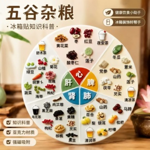 五谷杂粮养生冰箱贴五脏对症食疗亚克力磁吸厨房装饰好物加强磁力
