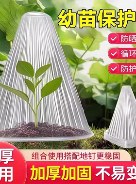 蔬菜植物罩防虫防鸟瓜苗菜苗幼苗育苗秧苗大棚育苗保温防霜保护罩
