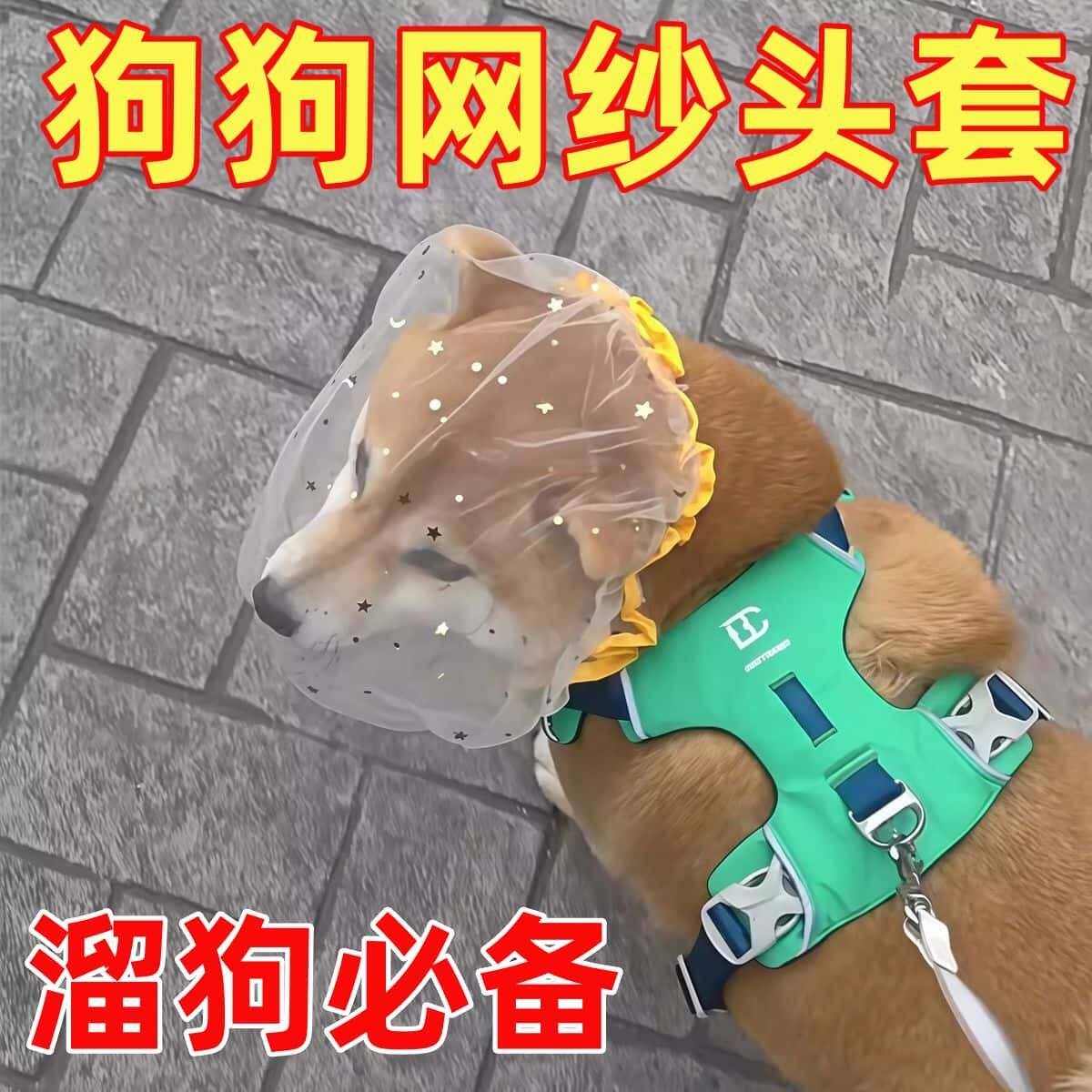 防偷吃乱吃网纱狗狗头套小型犬泰迪比熊防咬防误食面罩防舔嘴套
