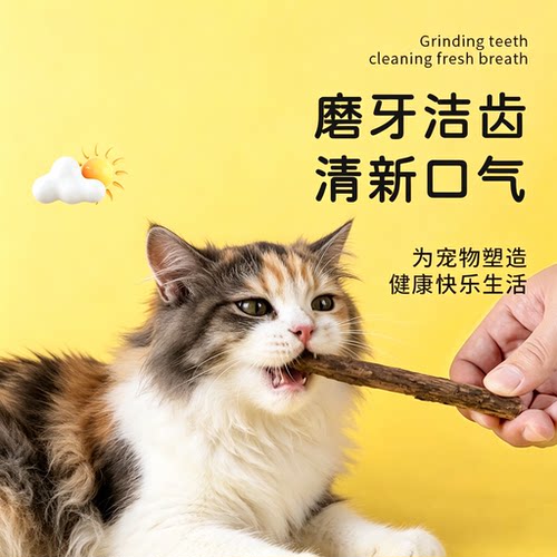 木天蓼猫咪磨牙棒专用幼猫磨牙