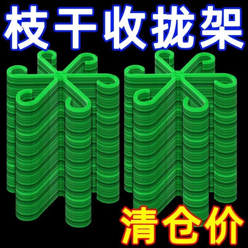 支撑固定器防倒伏龟背竹春羽水培