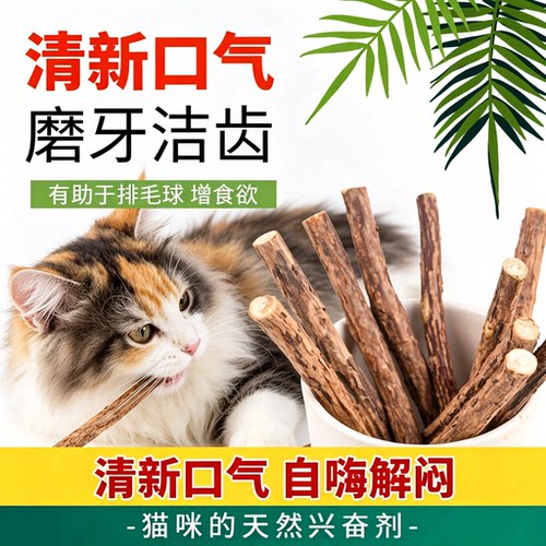 木天蓼猫咪磨牙棒专用幼猫磨牙洁齿零食玩具洁牙啃咬耐咬解闷清洁