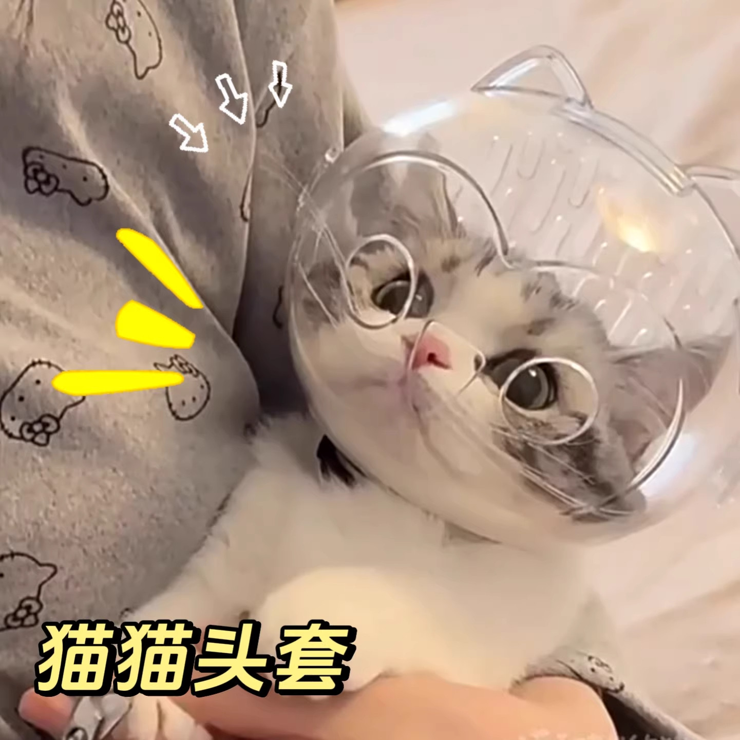 猫咪太空头罩防咬头套洗澡剪指甲防抓舔神器宠物嘴套伊丽莎白圈