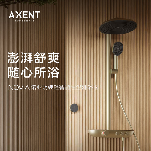 AXENT恩仕 NOVIA明装恒温淋浴花洒大置物大顶喷带手持淋浴器F601
