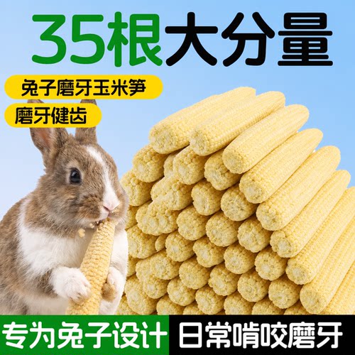 兔兔磨牙零食玉米笋冻干主粮玩具