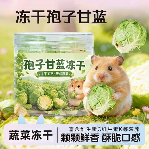 仓鼠零食冻干孢子甘蓝蔬菜仓鼠粮酥脆水果小宠兔子金丝熊侏儒通用