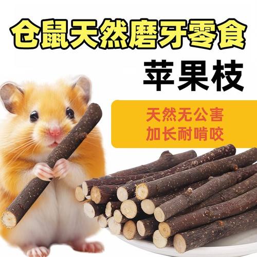 仓鼠磨牙棒苹果枝可食用洁齿兔子小龙猫专用金丝熊耐磨甜柱苹果枝