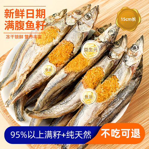 精选鱼籽率95%以上多春鱼冻干