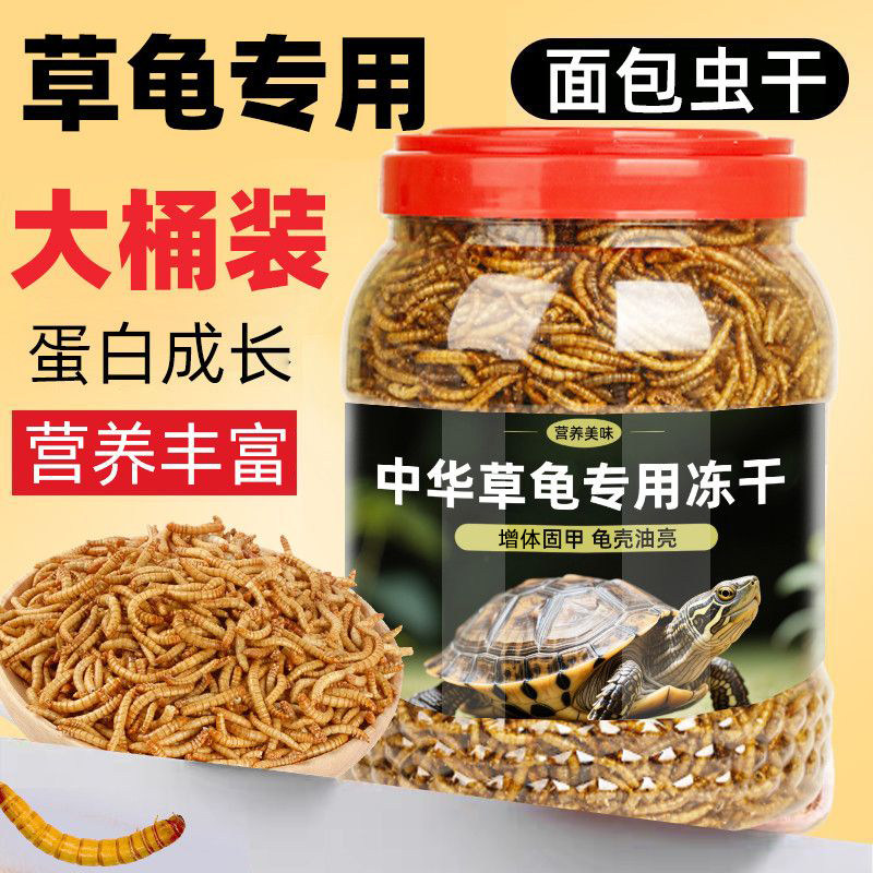 中华草龟面包虫黄粉虫干大草龟乌龟饲料零食高蛋白龟吃虫子龟粮食