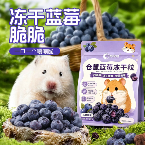 冻干蓝莓粒仓鼠零食磨牙宠物水果零食金丝熊粮食食物小蜜袋鼯饲料