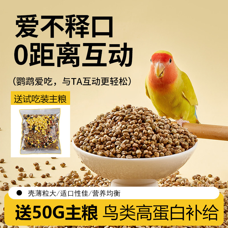 鹦鹉纸壳麻子鹦鹉鸟粮饲料纸皮麻子太阳鸟粮食大颗粒和尚奖励零食图片