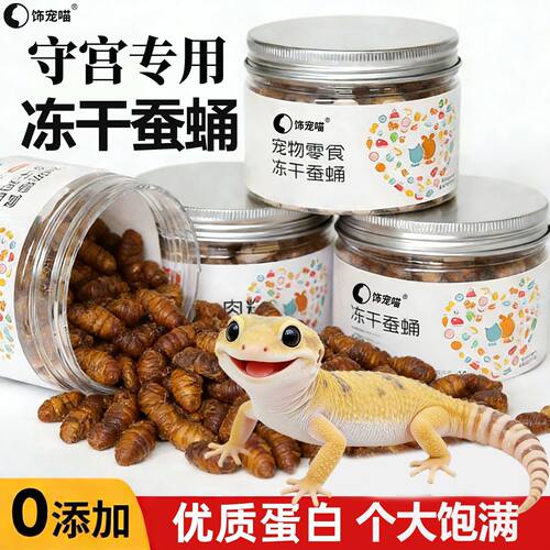 冻干蚕蛹 爬宠小零食饲料