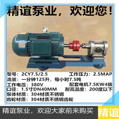 新款304材质不锈钢高温电动齿轮泵2CY系列不锈钢齿轮泵自吸食包邮