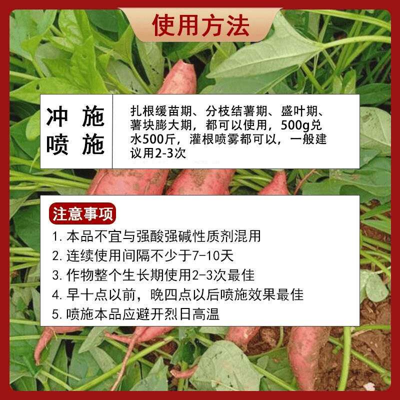 同款高产光滑专用控旺膨大素光滑控上促下防畸防裂果表面红薯个匀