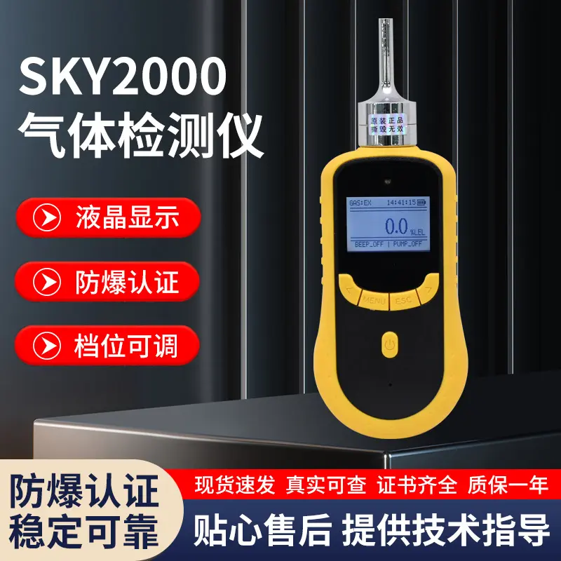 SKY2000气体检测仪复合式多种