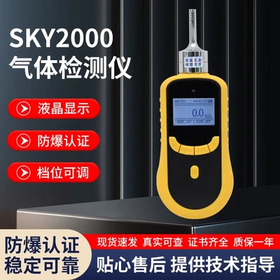 SKY2000气体检测仪复合式多种