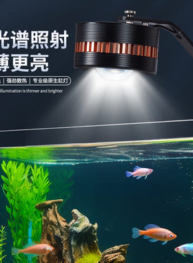 LED原生态流溪缸灯爆藻金鱼出苔