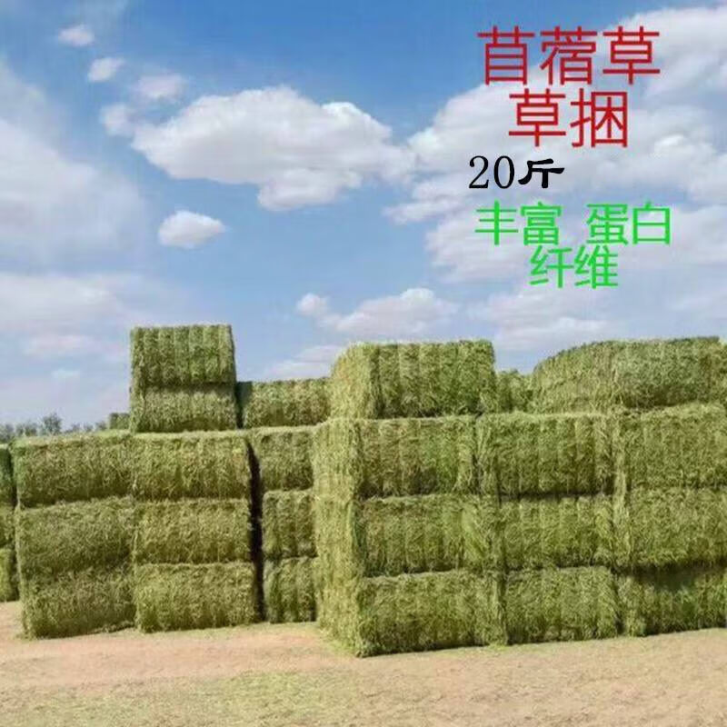 苜蓿草捆家畜喂马草料牛羊驼食用牧草动物园宠物养殖场干草