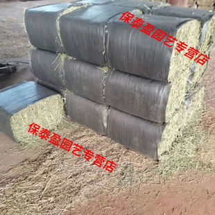 100斤国产苜蓿草干草牛羊喂马草料奶牛奶山羊草羊驼人气饲料定制