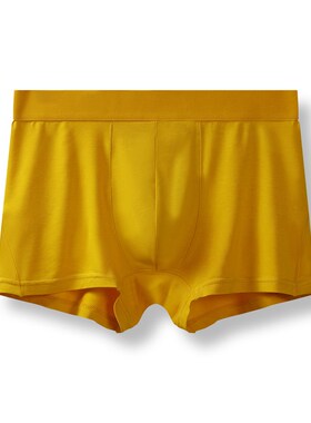 Mens Modal Underwear Flat Angle MidWaist Antibacterial Busin