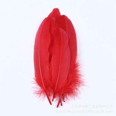 Premium Colorful Goose Feather Large Drifting Feather Childr