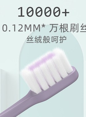 8Pack Toothbrushes for Adults Soft Bristles Between Lips and