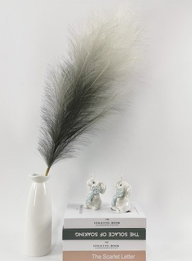 Gradient Simulation Reed Panpas Grass Simulation Cattail Hom