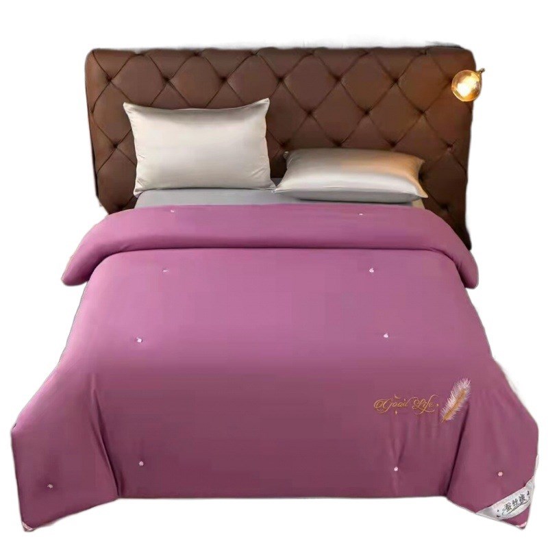 Silk Quilt Thickened Mulberry Silk AllSeason Duvet Core AirC