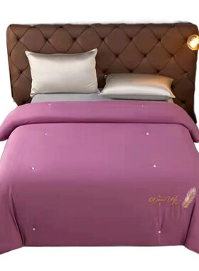 Silk Quilt Thickened Mulberry Silk AllSeason Duvet Core AirC
