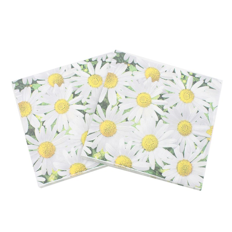 2Layer Disposable Party Napkins Decorative Tissue for Restau