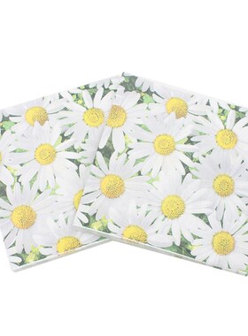 2Layer Disposable Party Napkins Decorative Tissue for Restau