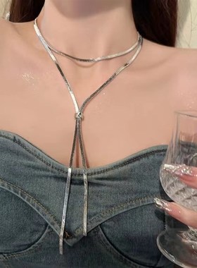 Chic Metal Snakebone Thin Chain Necklace Long Tassel Elegant