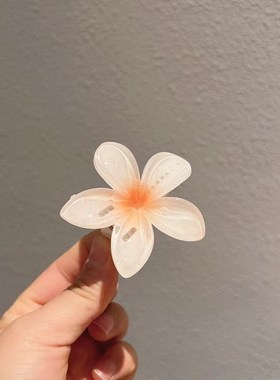2025 Sweet CandyColored Frangipani Hairpin BackofHead Duckbi